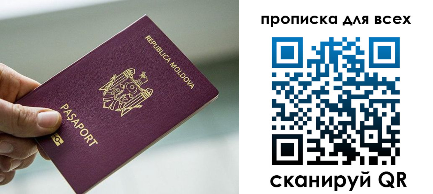 прописка иностранных граждан в Светлом